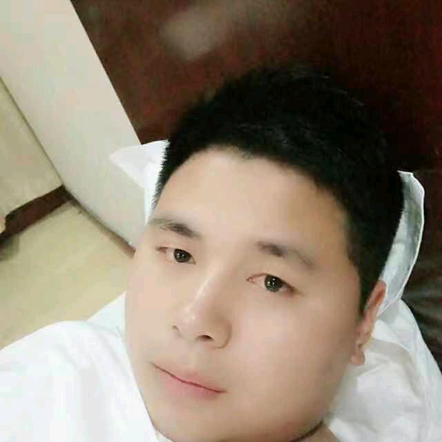 杨董董