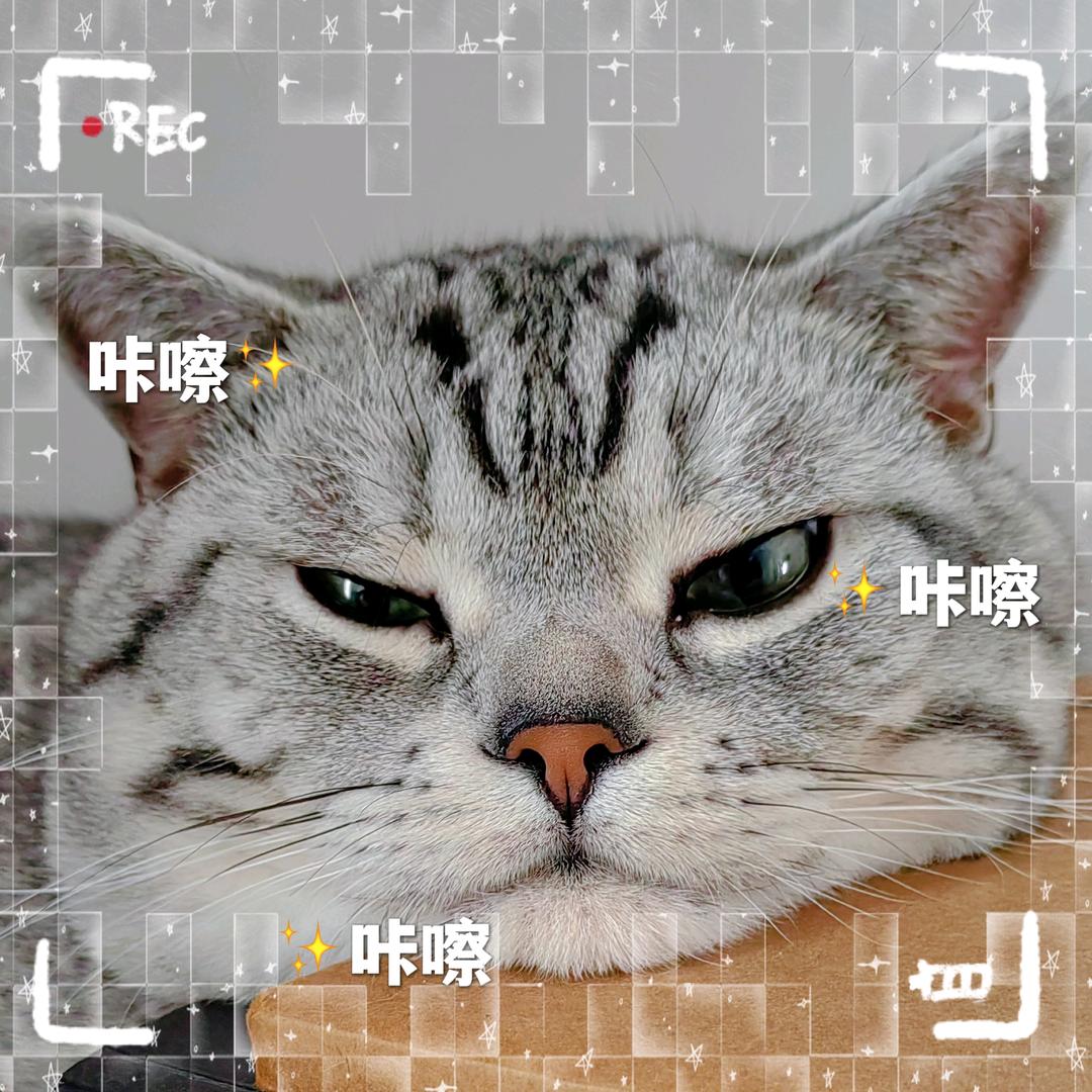 适格