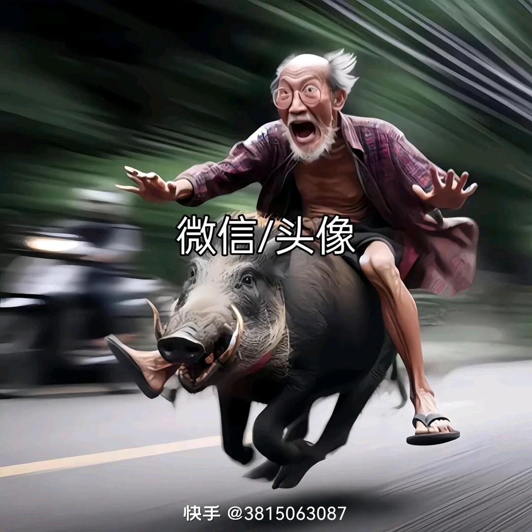 带你看美女