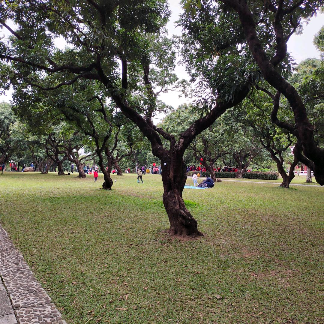 奋斗中的小憨憨