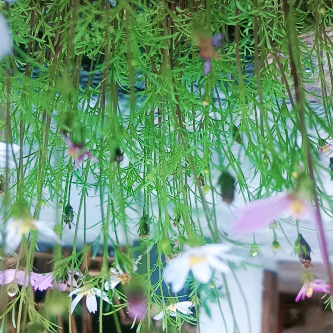 刘姐