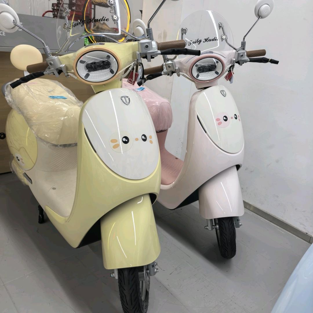 台铃电动车(东方龙城店)专用号