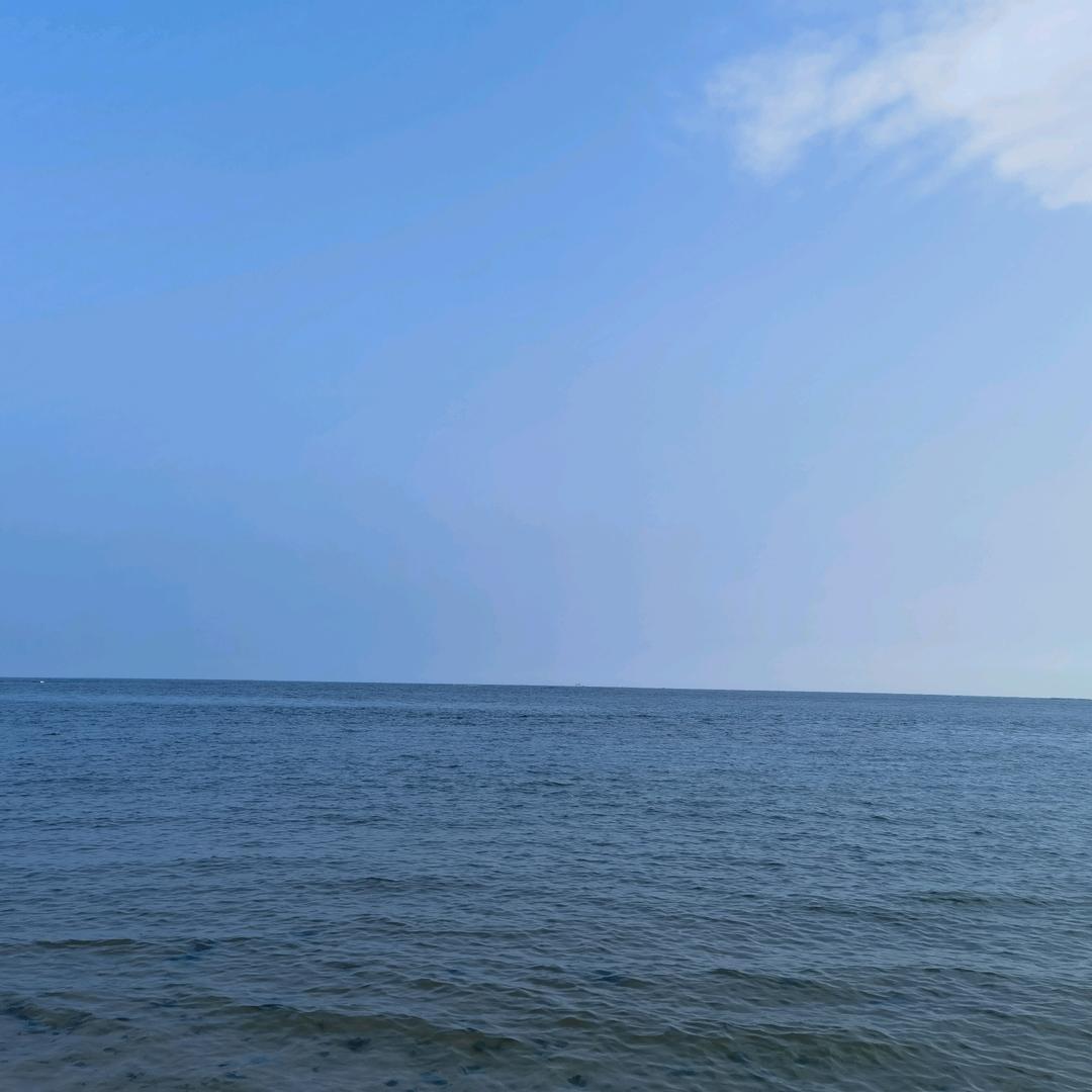 小小粉丝