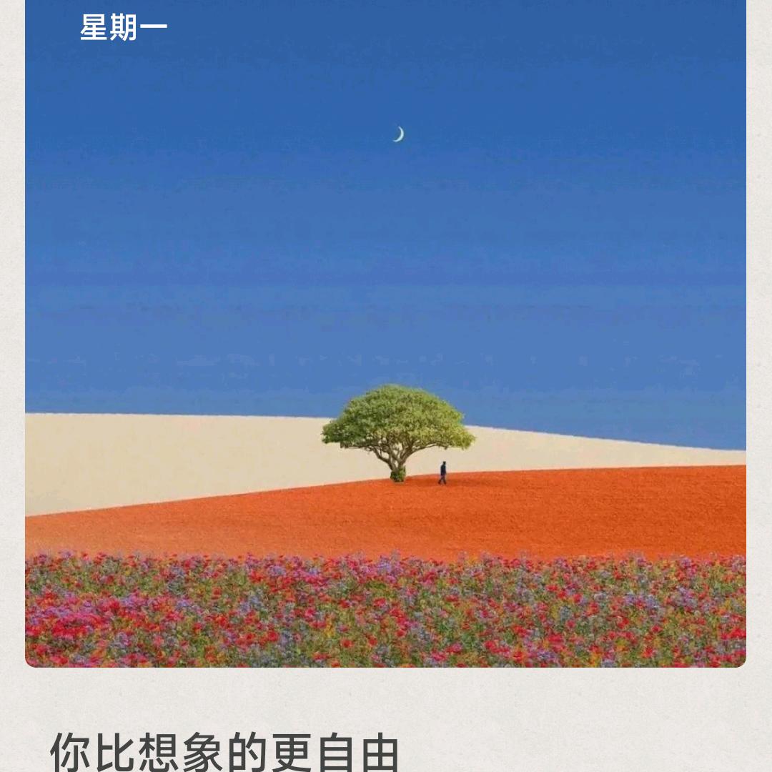 刘住美好