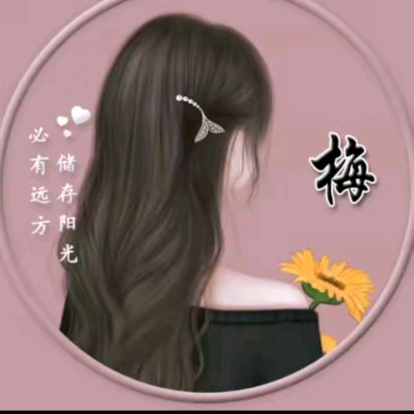 泸西柠贝儿纸业（路遥）