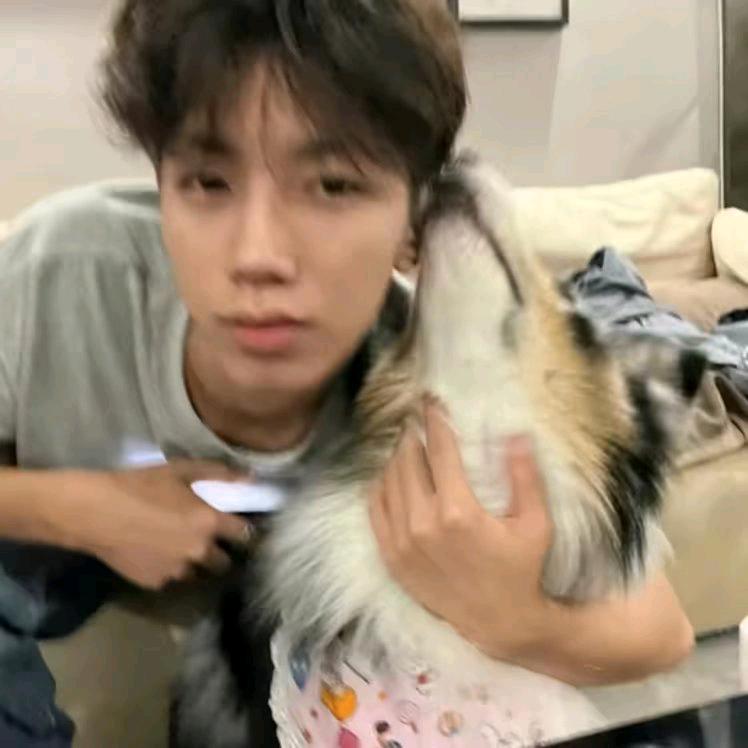 hao ᴗ o^