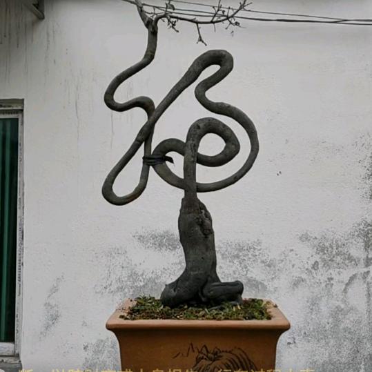 自由自在