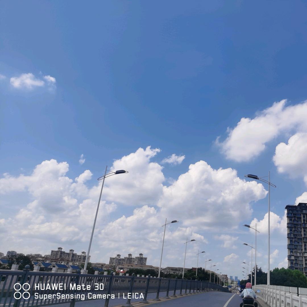 土  豆