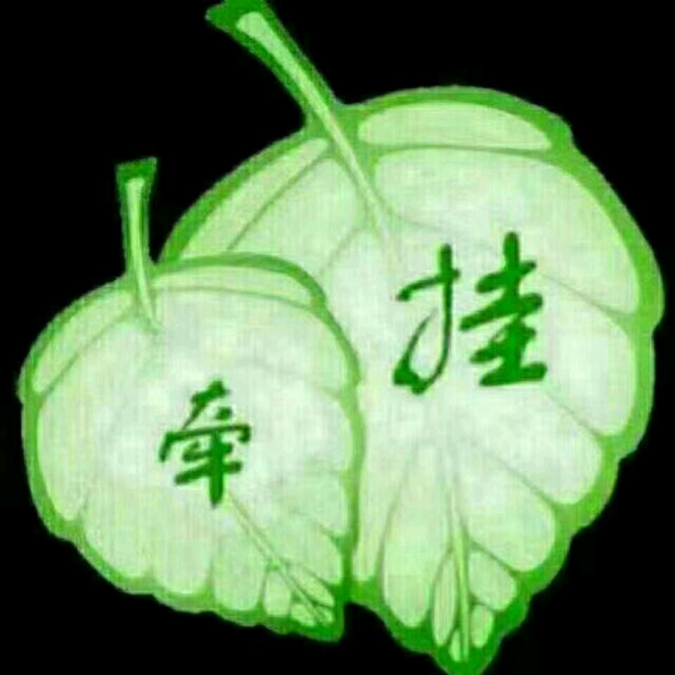 蒸蒸日上