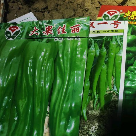 农哥