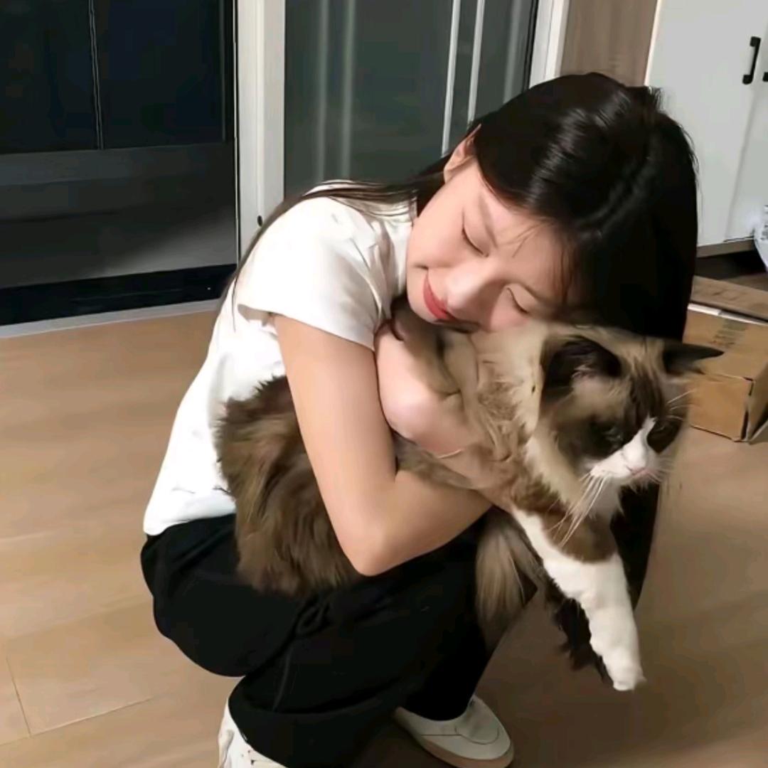 银杏什么时候黄