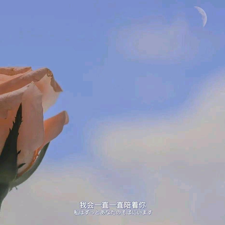 ༺༺习之࿇孤往༻༻