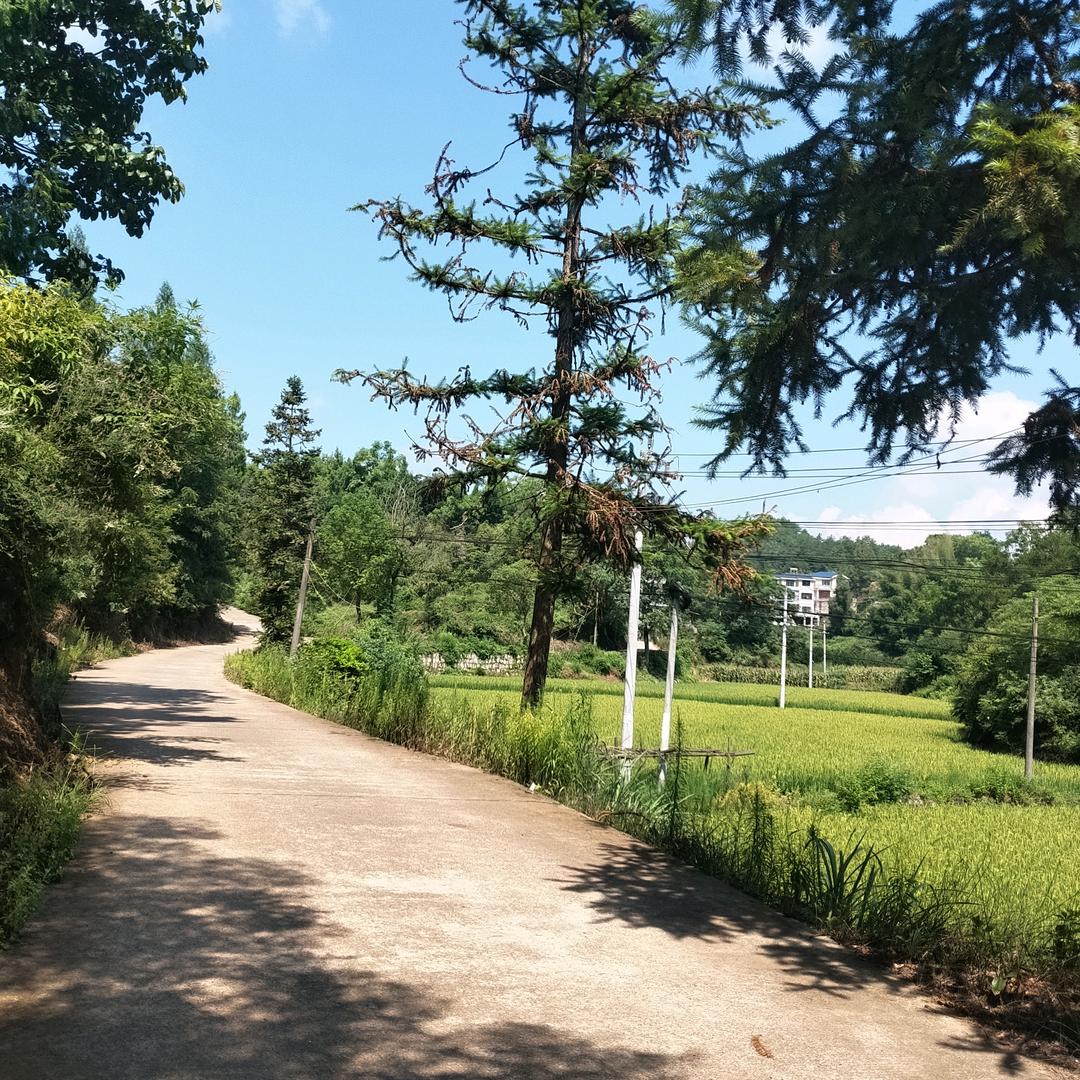 原来你也在这里@