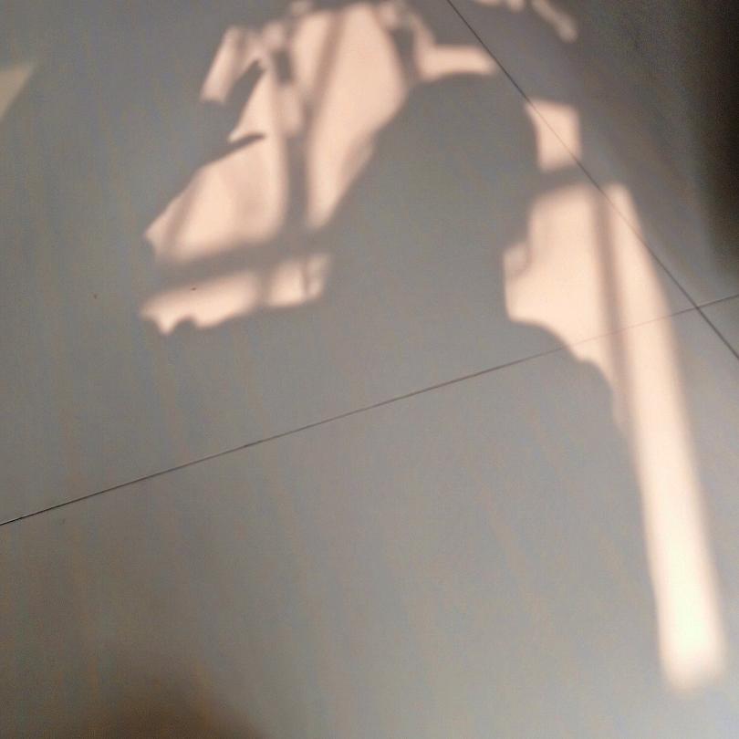 立秋和立春