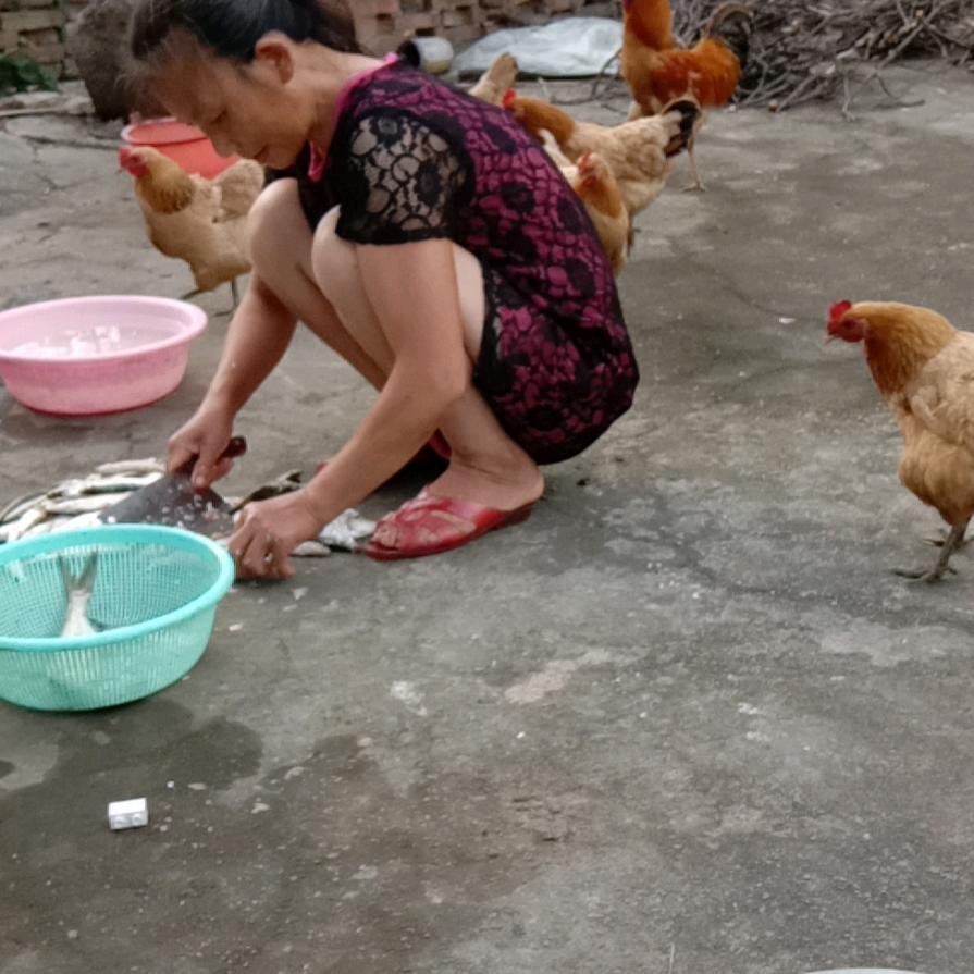 严定玉