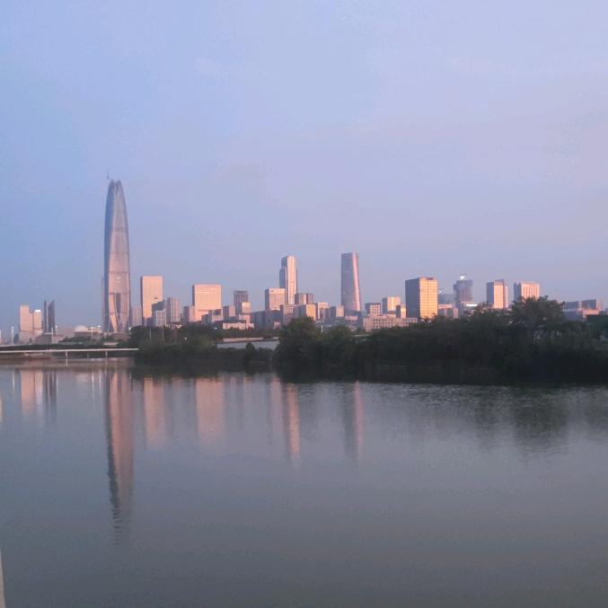 书港
