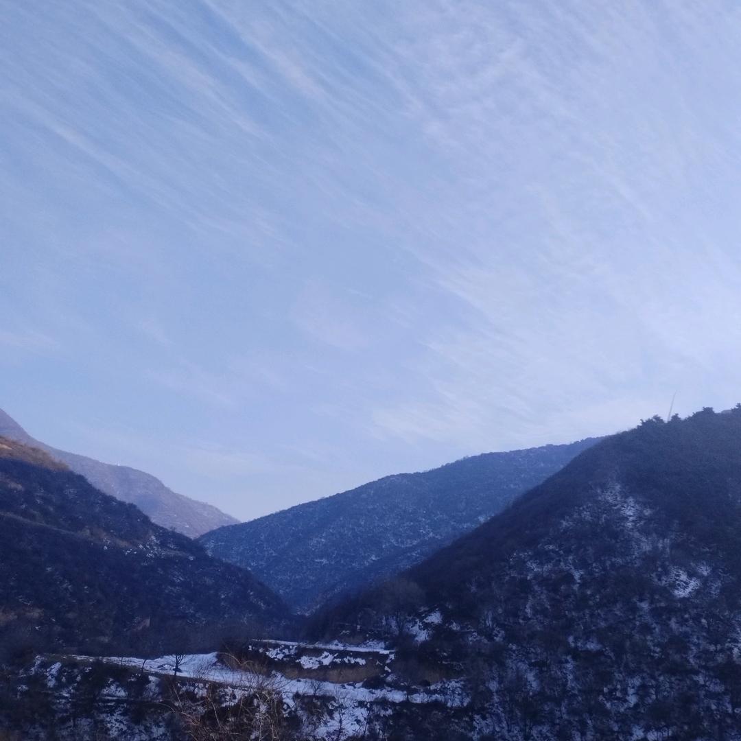 闻喜大葱一号