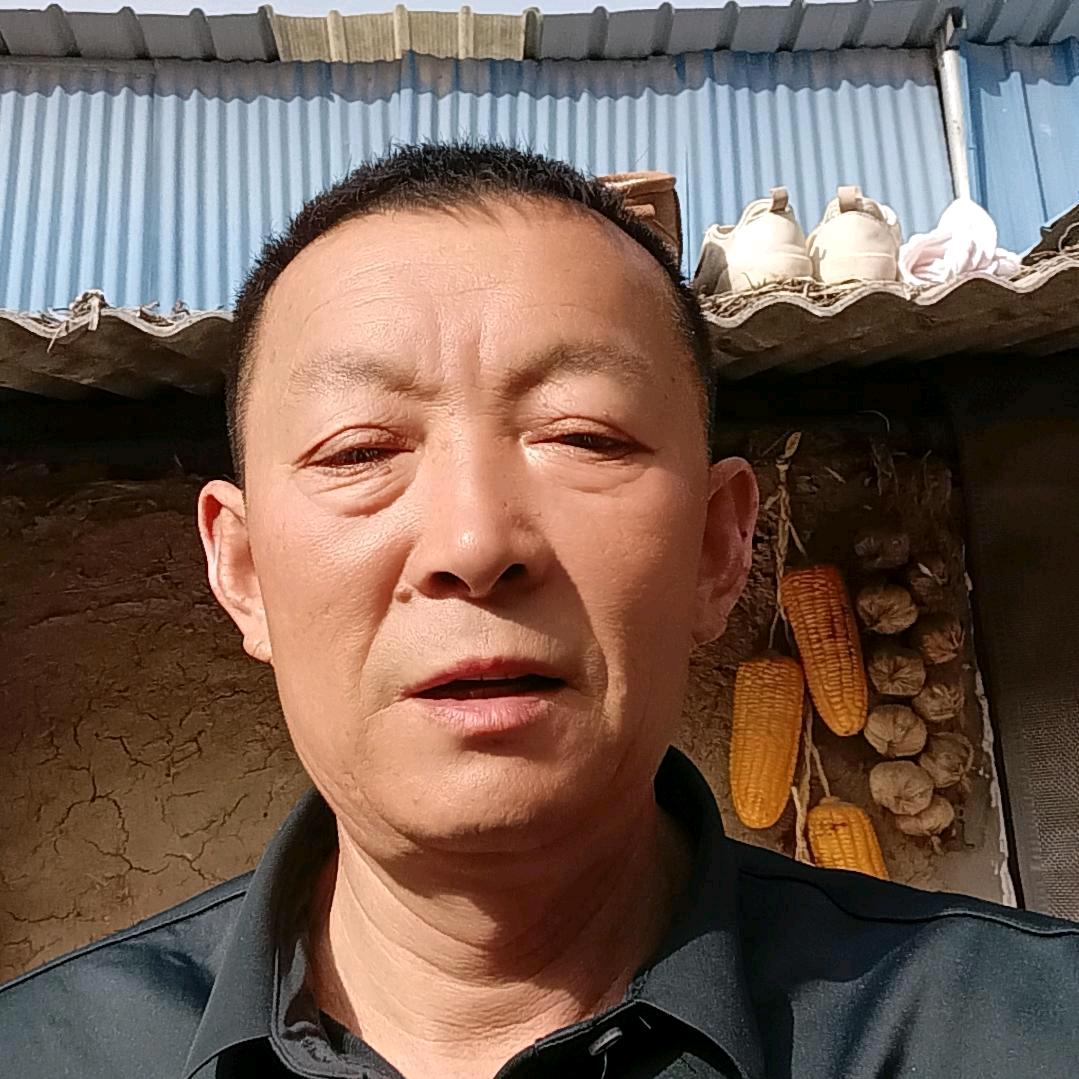 金哥，