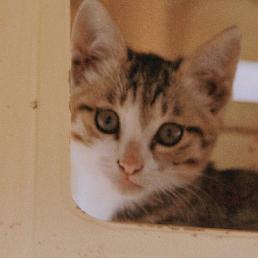 小唐的返乡日记