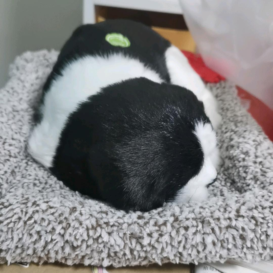 记忆