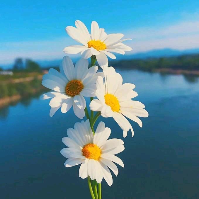 没那么重要