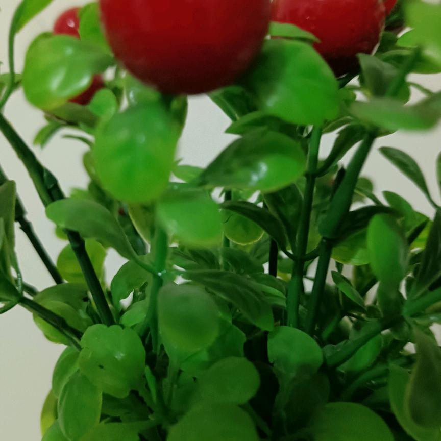 用户4007462677563曾经沧桑