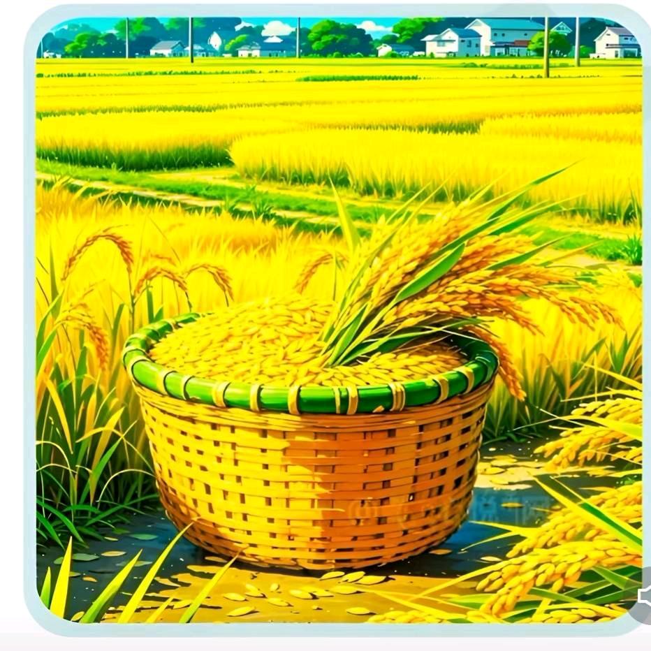 金谷穗
