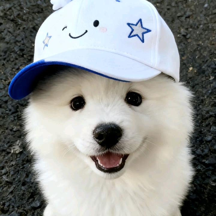 南尘