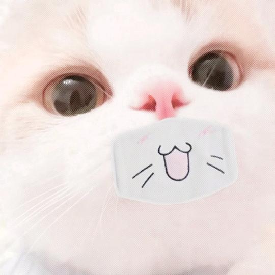 骂我=和我调琴！