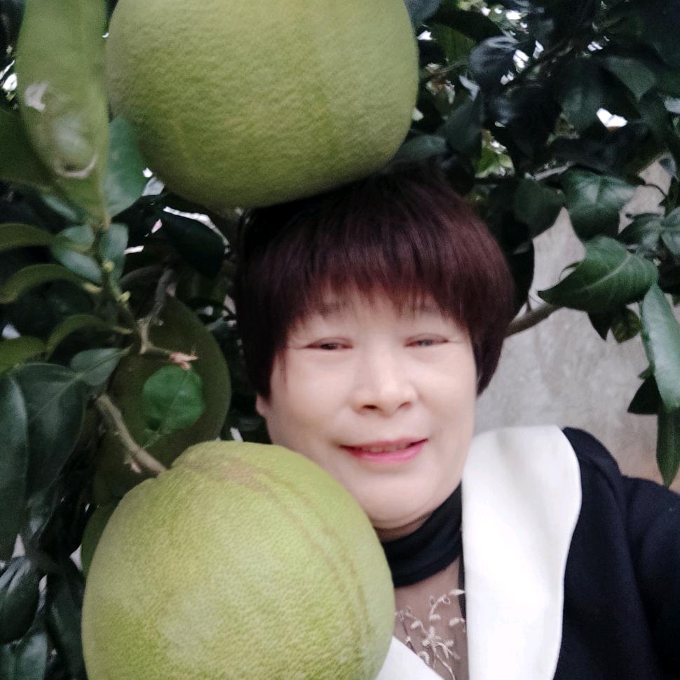 乐乐