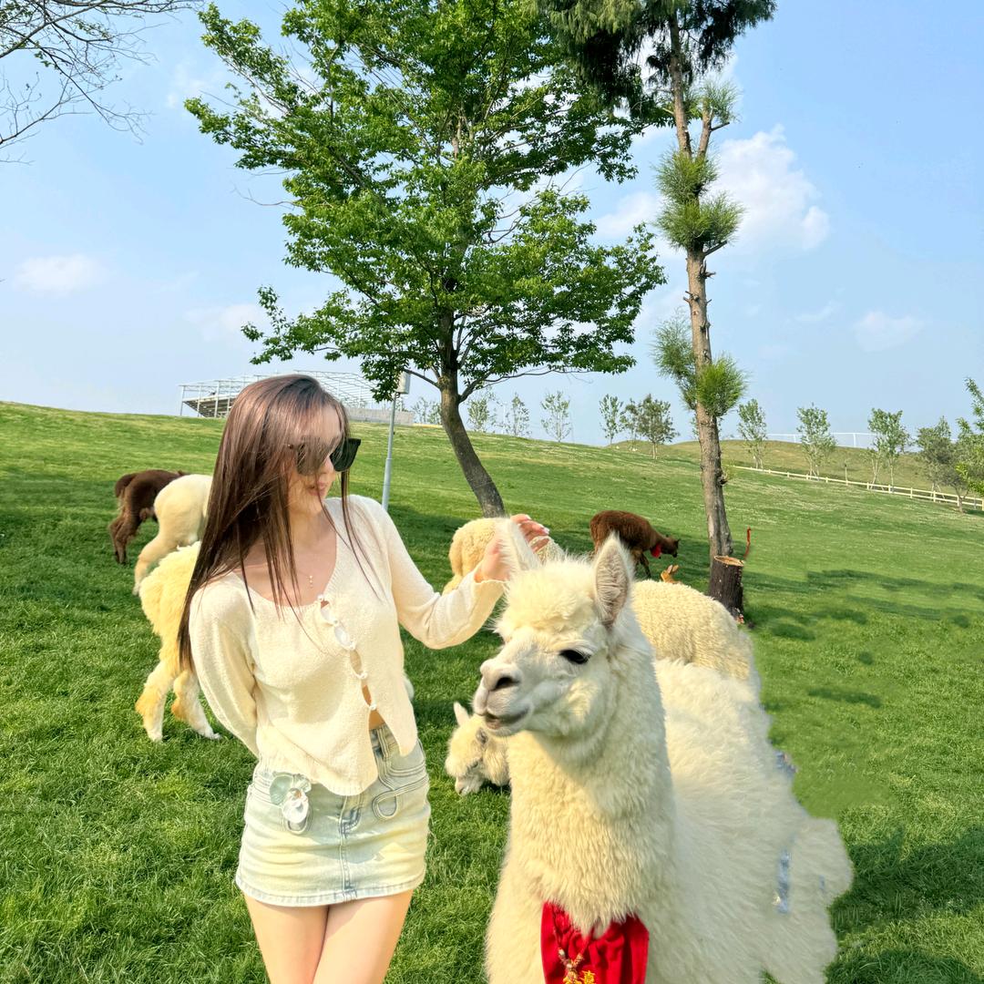 筱筱.