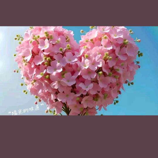 💫💜可欣《318》💜💫