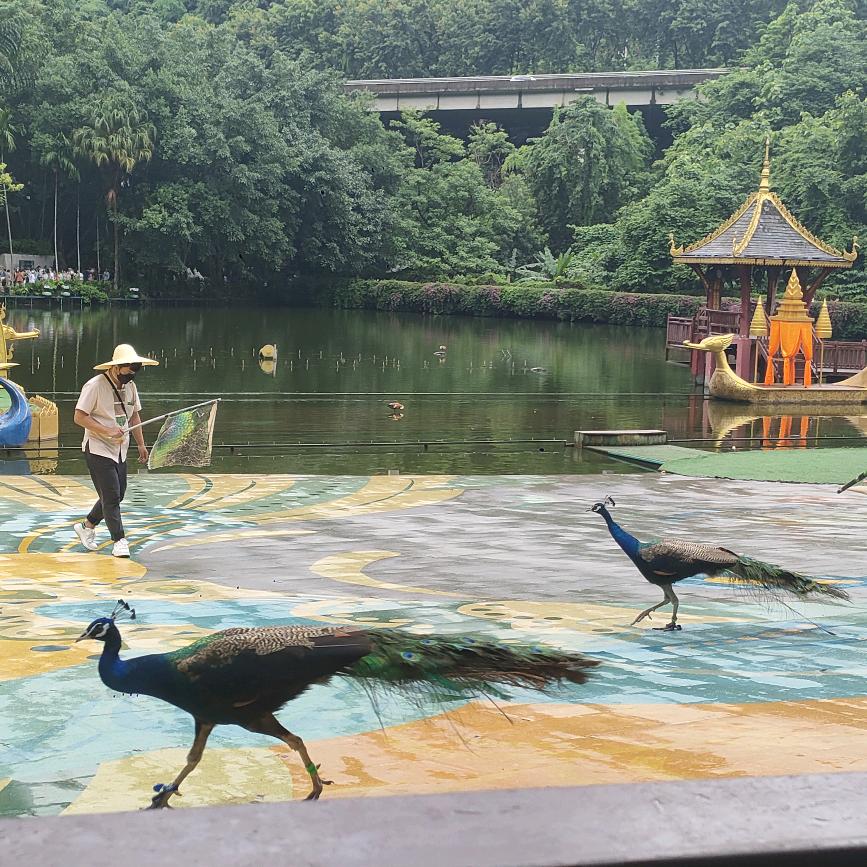 中江德盾装甲门