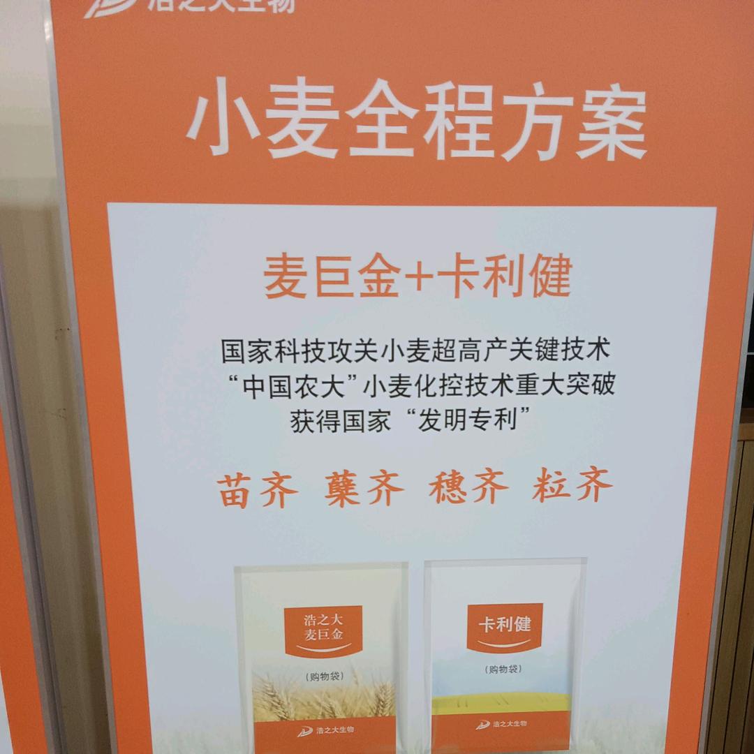 全程高产方案（浩之大宁陵办事处）