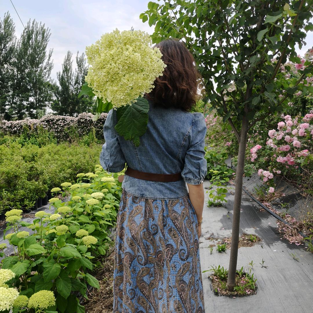 花间舞园艺场1