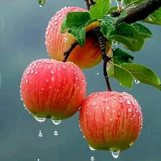 星辰阳光，☀️🙏