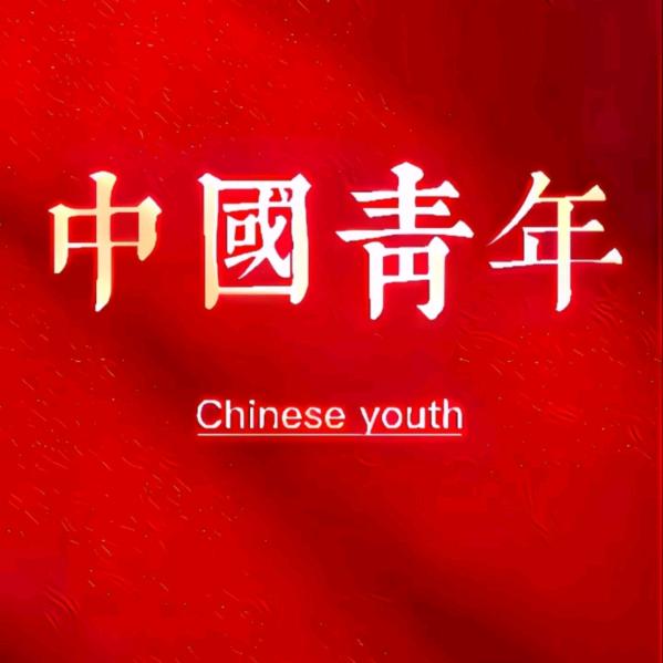砼心筑梦人