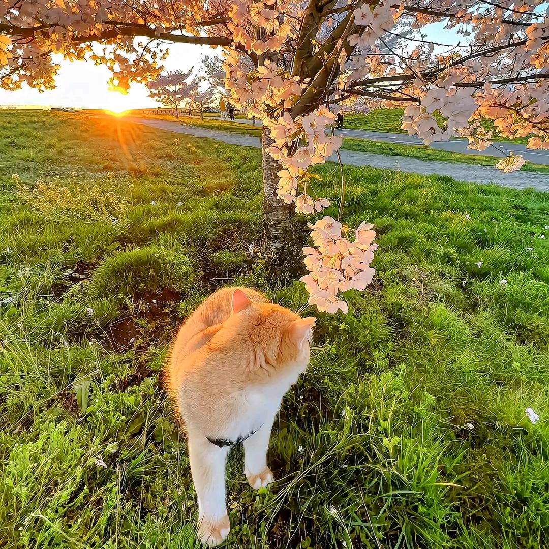 财神偏爱