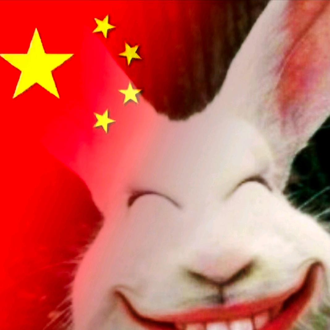 风之翼