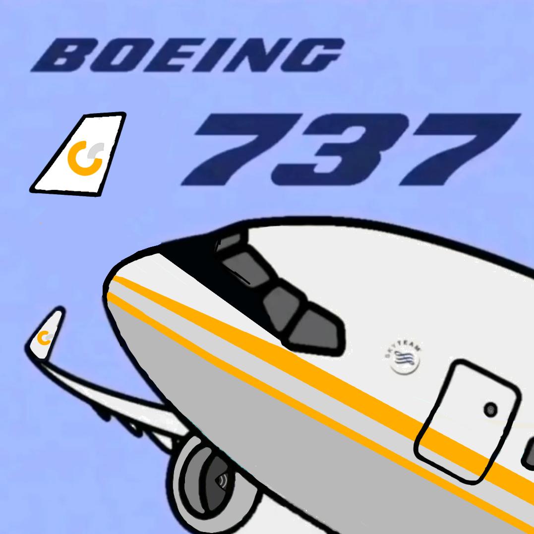 一架正常的737