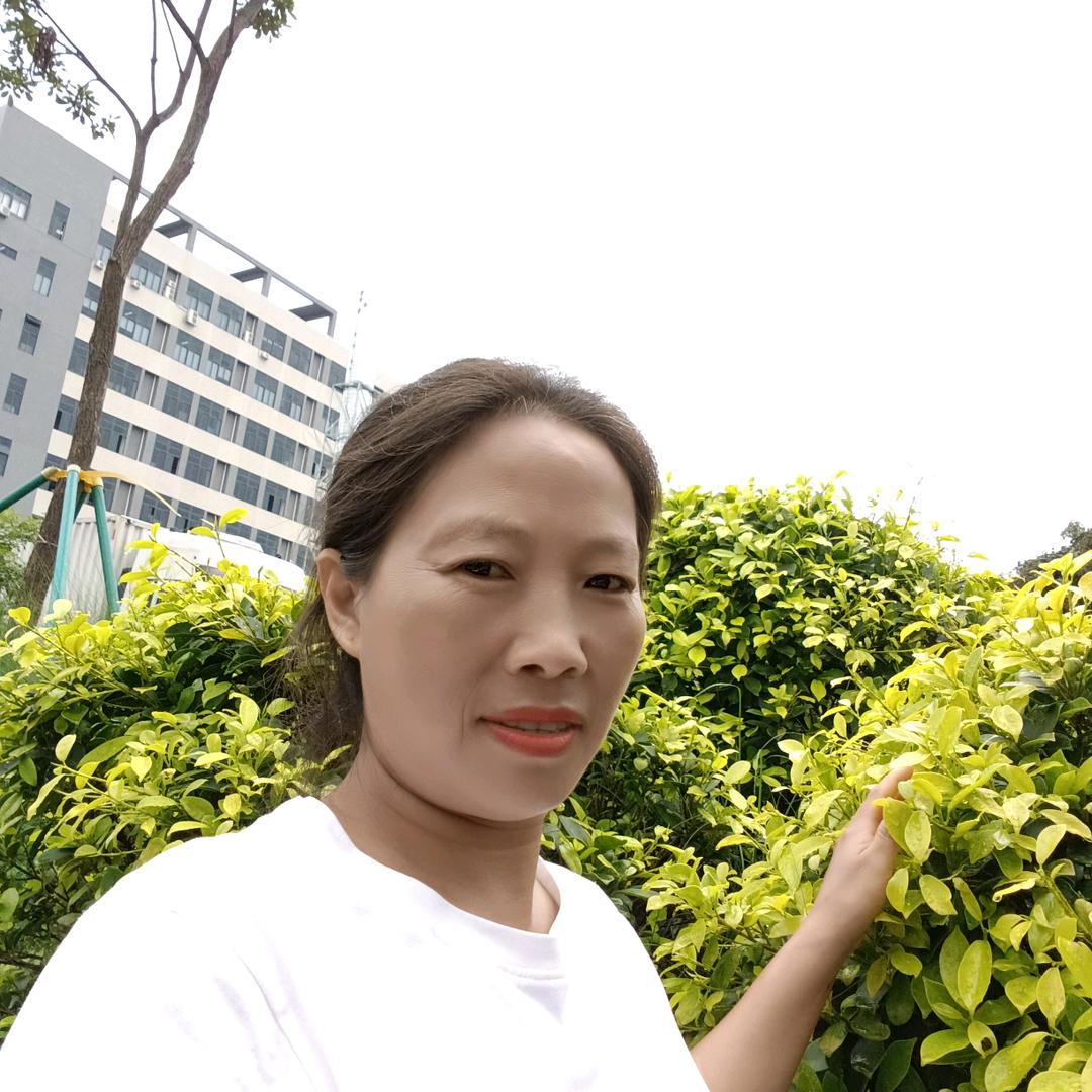 被伤过的女人