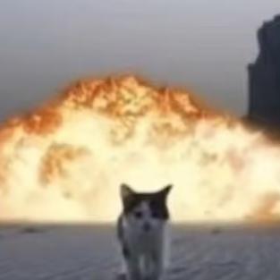 鸢桉