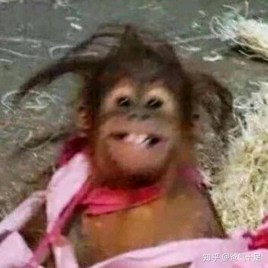 爱炫麻辣毛蛋的小美