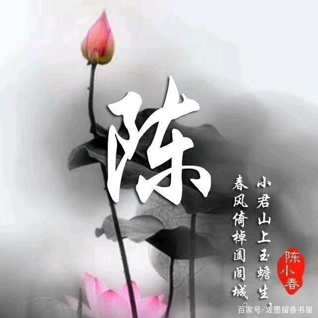 一揽陈星