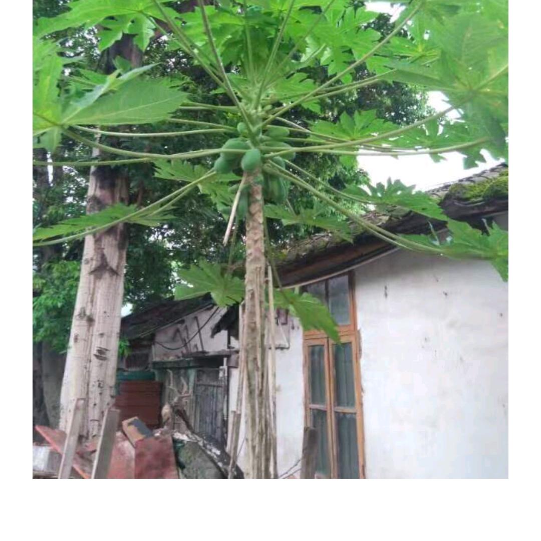 心里有你