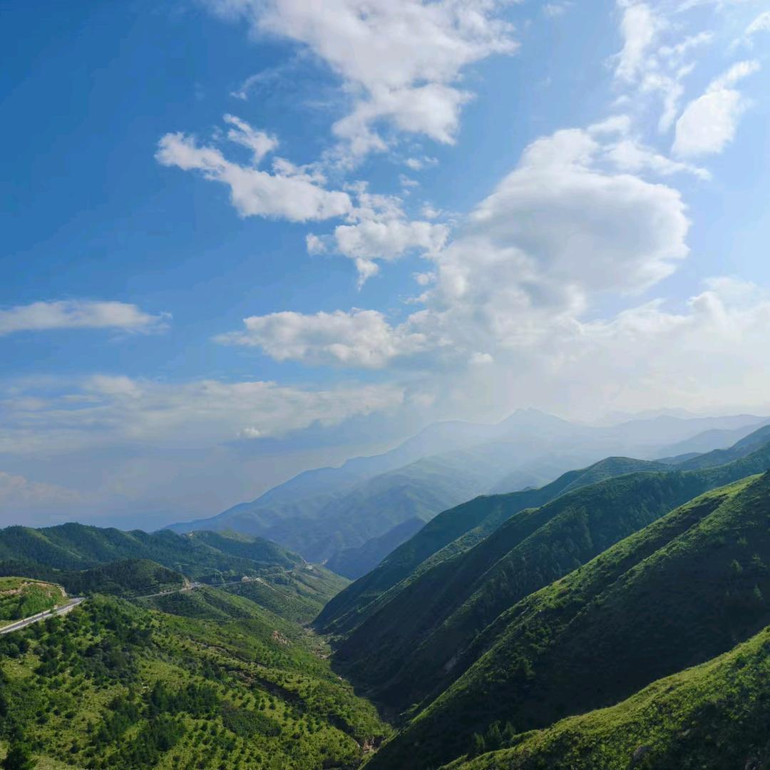两宝（普罗旺斯水果西红柿）