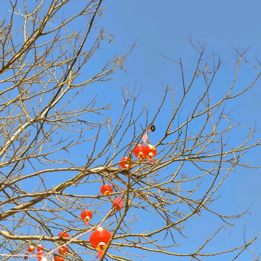 仙女打工，必有苦衷