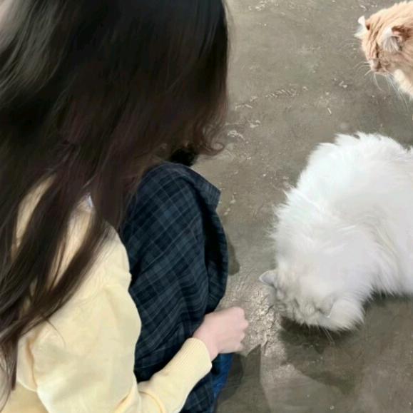 艳