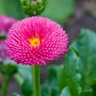 岁月🌸安然❤️