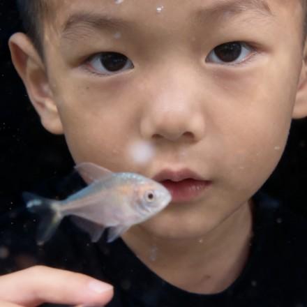 平安是福